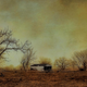 Illustration for article titled Extreme Droughts Weaken Trees' Ability to Soak Up Carbon
